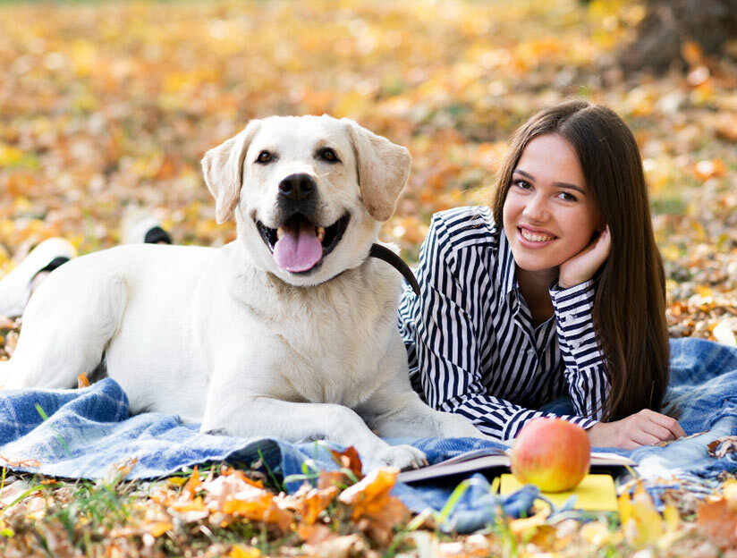 Cozy Moments with a Pet